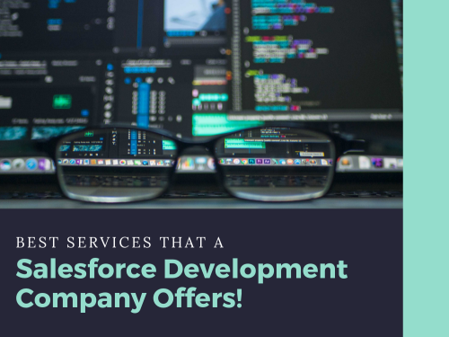 Best Services That a Salesforce Development Company Offers