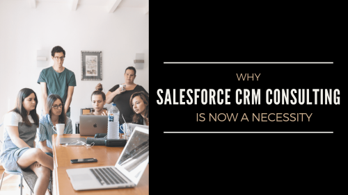 Why Salesforce CRM Consulting is Now a Necessity