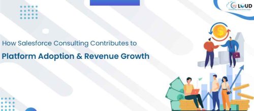 How Salesforce Consulting Contributes to Platform Adoption & Revenue Growth