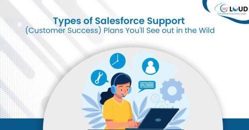 Types of Salesforce Support (Customer Success) Plans You’ll See out in the Wild