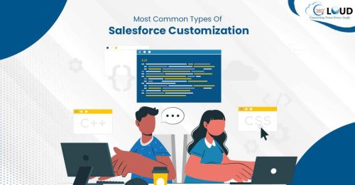 Most Common Types Of Salesforce Customization