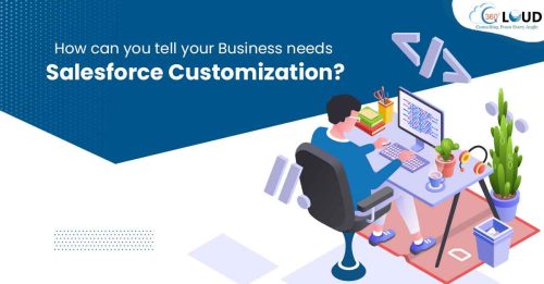 How can you tell your Business needs Salesforce Customization?