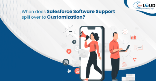 When does Salesforce Software Support spill over to Customization?