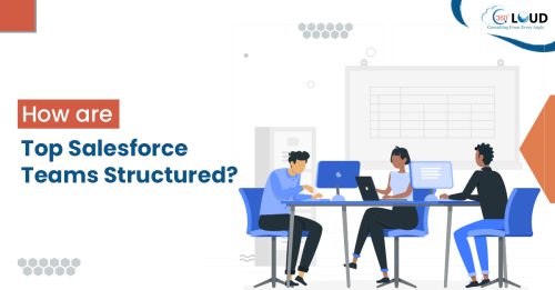 How are Top Salesforce Teams Structured?