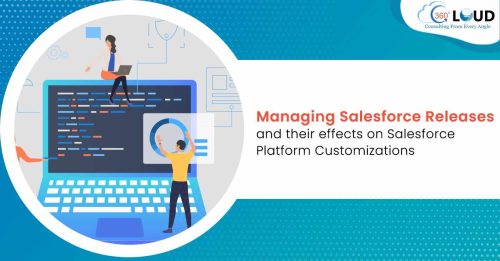 Managing Salesforce Releases and their effects on Platform Customizations