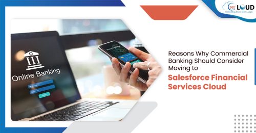 Reasons Why Commercial Banking Should Consider Moving to Salesforce Financial Services Cloud