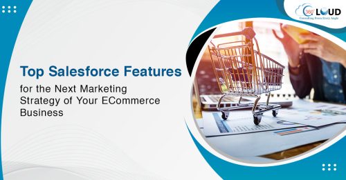 Top Salesforce Features for the Next Marketing Strategy of Your ECommerce Business