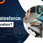 Salesforce Data Migration