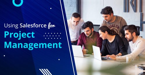 What exactly do you mean by using Salesforce for Project Management?