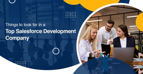 What to look for while searching for a Top Salesforce Development Company