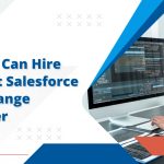 Salesforce AppExchange Developer
