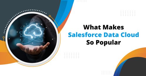 Data Cloud: Why It Is Trusted By The Best Salesforce Consulting Company