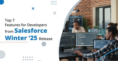Hire Salesforce Consultants and Learn the Top 7 Features for Developers from Winter ‘25 Release