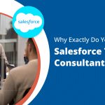 Salesforce Technical Consultant