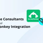 Salesforce Integration Consultant