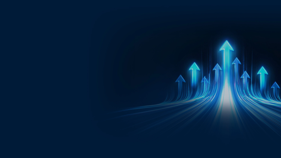 implementation services